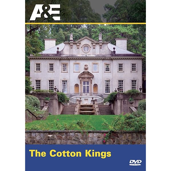 その他 America&#39;s Castles [DVD] Amazon.com: A&E America's Castles : Movies & TV